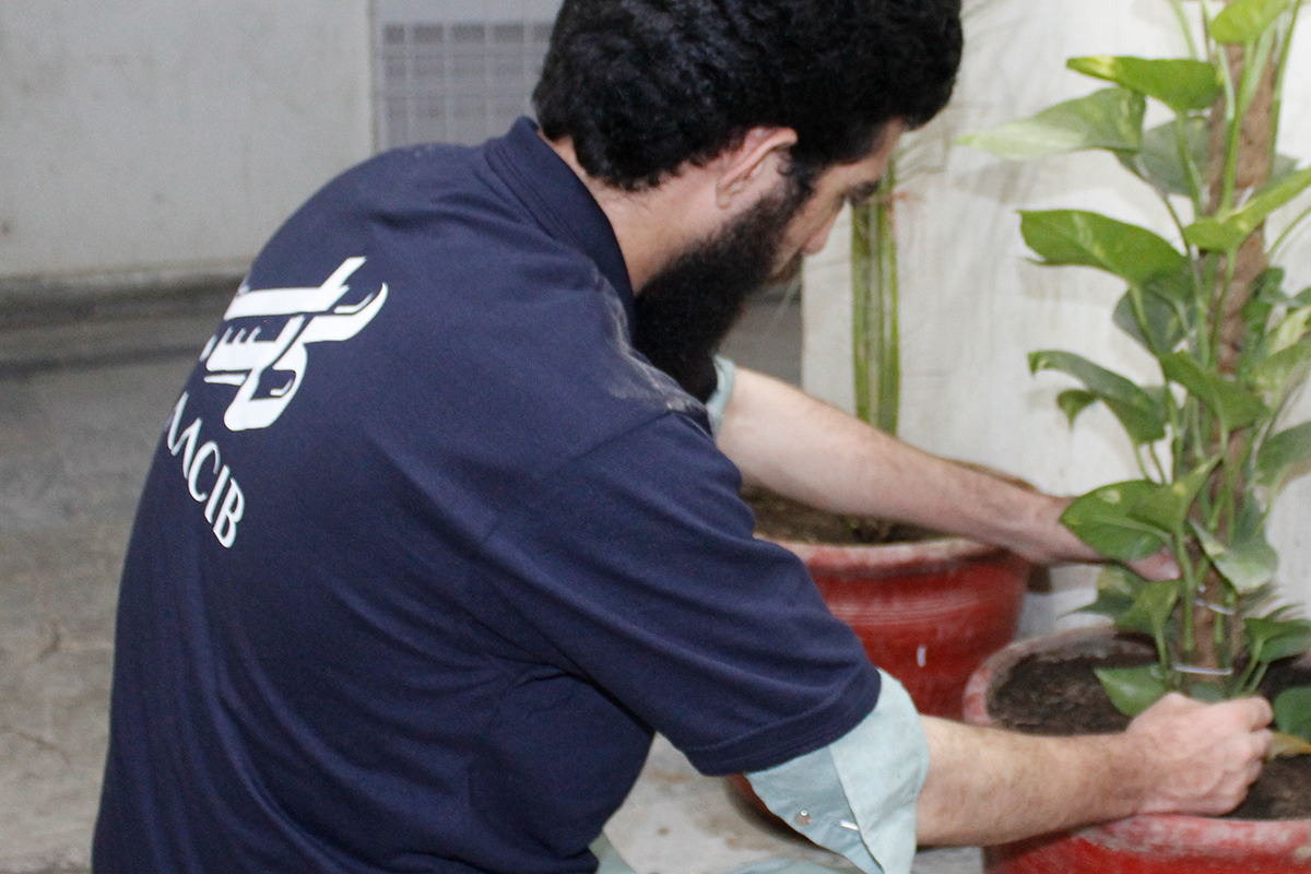 Gardening & Lawn Landscaping Services in Karachi