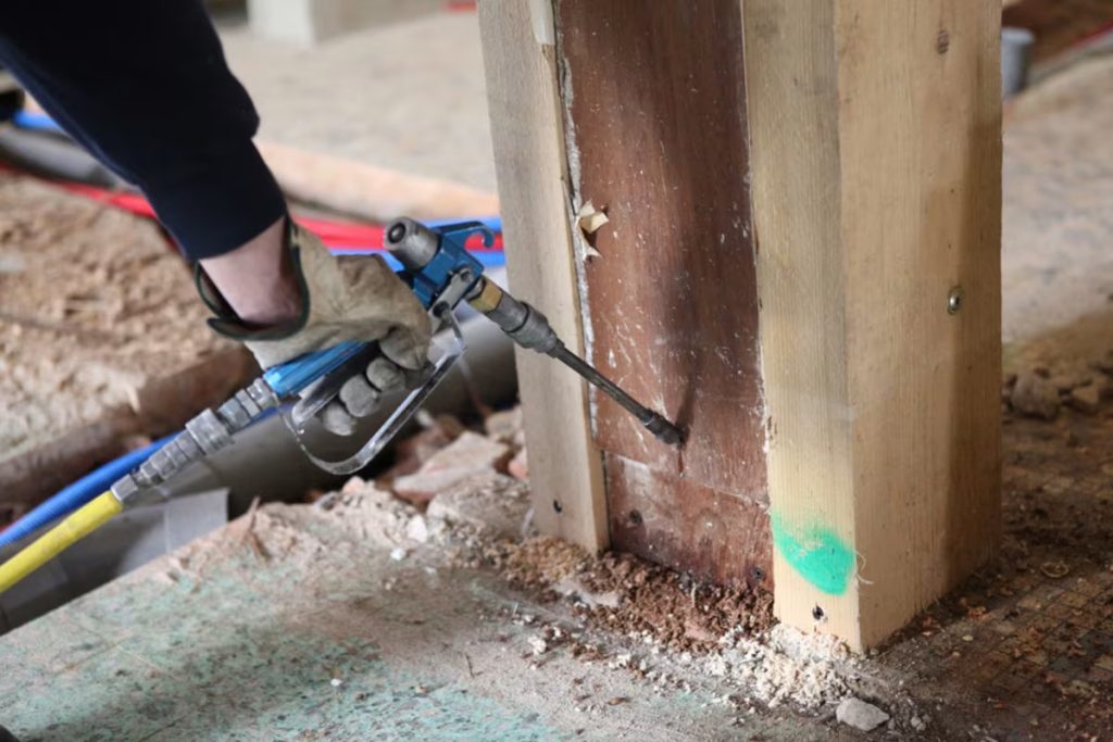 How to get rid of termites in Lahore