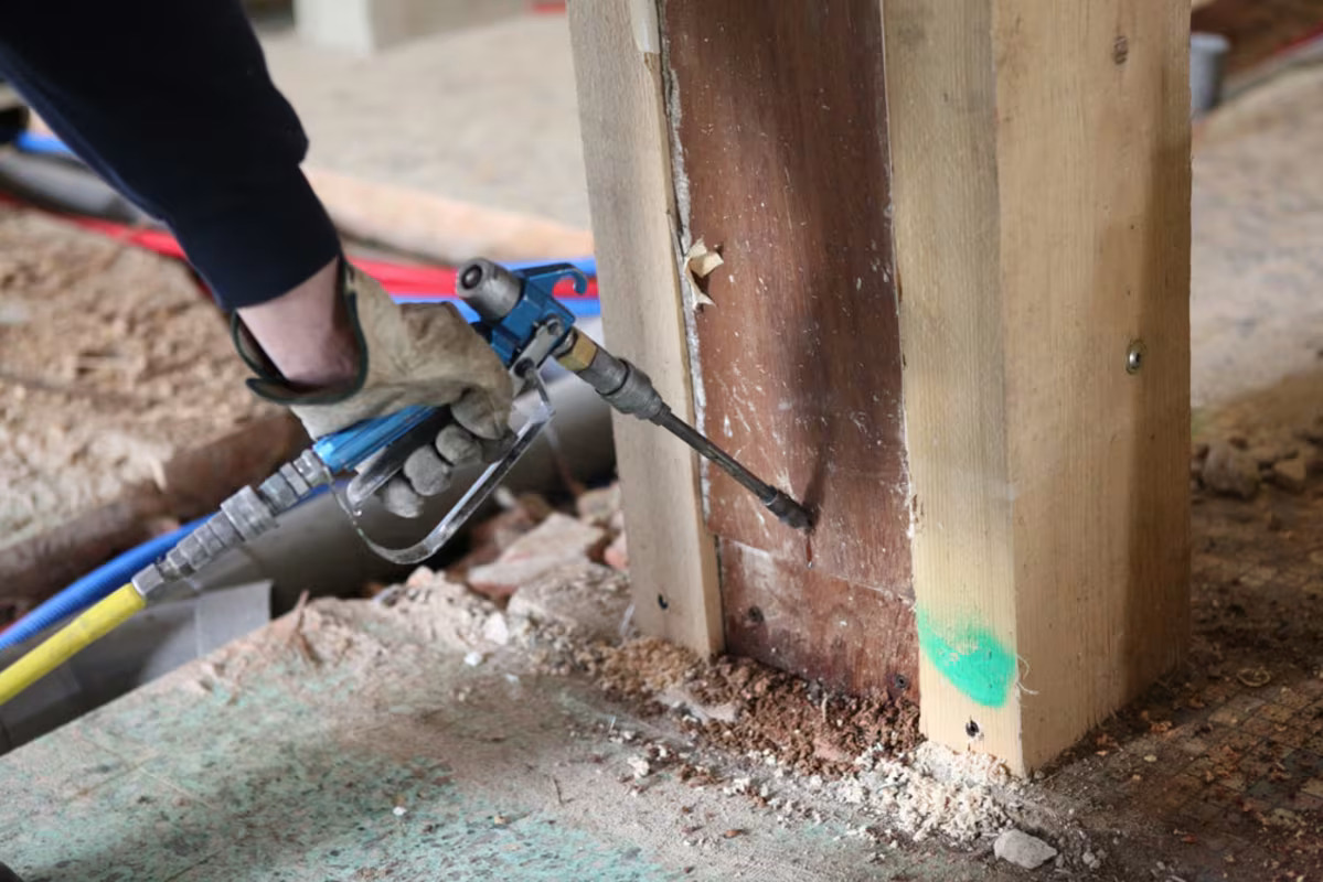 How to get rid of termites in Lahore